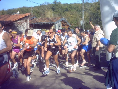 Cross des Châtaignes